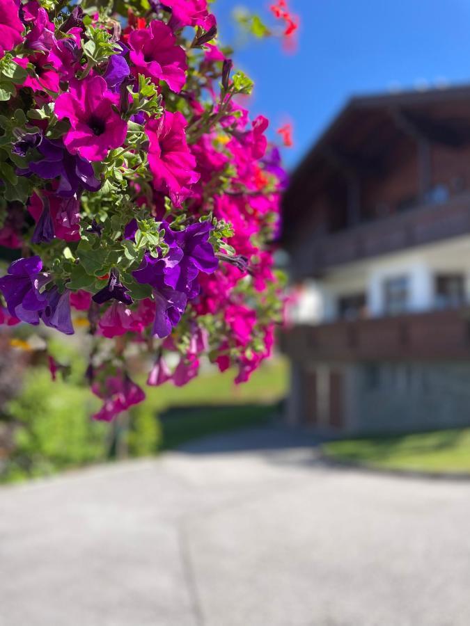 Luserblick Haus im Ennstal Ngoại thất bức ảnh